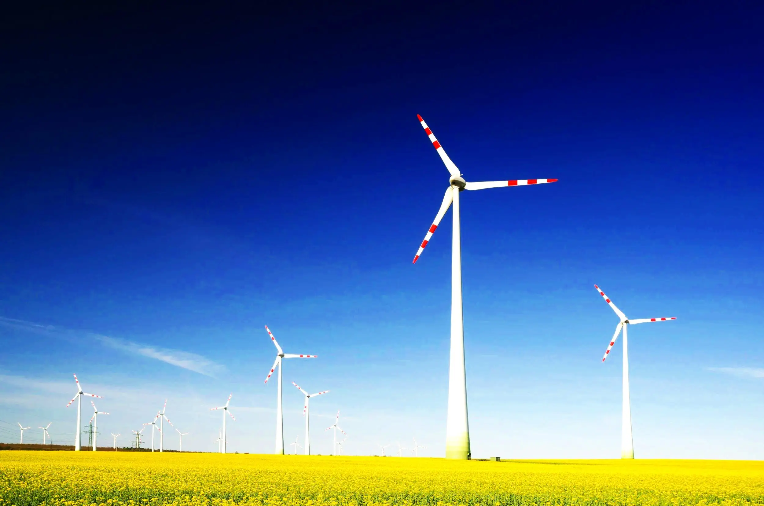 Energy Supplier Support